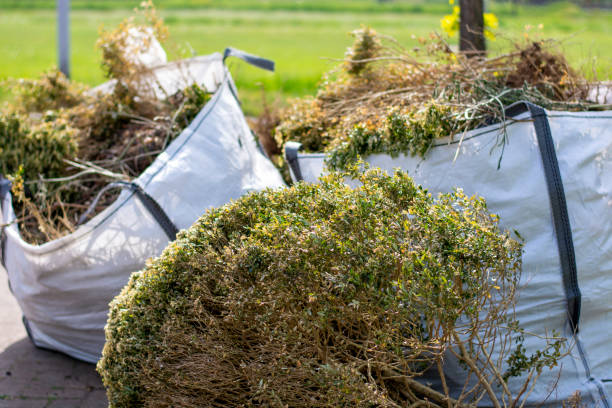 Best Moving and Downsizing Cleanouts  in Midland Park, NJ